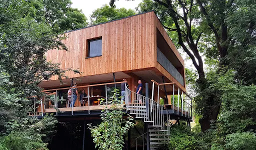 Sustainable Homes Benefit the Health-Conscious Homeowner